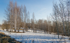 Погода в Кирове. В Пятницу будет тепло и солнечно