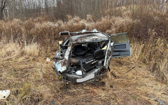 В Кировской области пьяный 17-летний водитель устроил ДТП