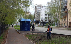 Кировские газоны начали приводить в порядок