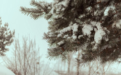 В четверг в Кирове долгожданное потепление