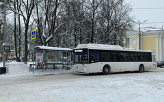 Более 2 тысяч жалоб на транспорт и снег поступило от жителей Кировской области за неделю