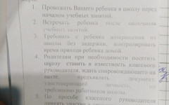 После нападения на детей у школы №60 родителей просят провожать и встречать учеников