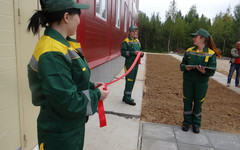 Александр Соколов поручил проработать запуск филиала Мурашинского фанерного завода в посёлке Заря