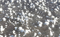 Жители Белой Холуницы сфотографировали «ледяные цветы»