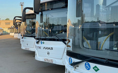 Автобусы доставят паломников в Великорецкое
