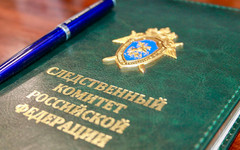 Директор из Кирова платила зарплату «мертвой душе»