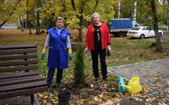 В сквере на Павла Корчагина высадили туи и гортензии