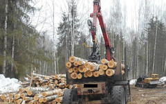 В Афанасьевском районе лесовоз «УРАЛ» раздавил рабочего
