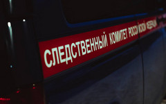 В Вятских Полянах школьник устроил стрельбу из сигнального пистолета в кафе