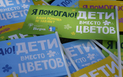29% россиян примут участие в благотворительной акции «Дети вместо цветов»