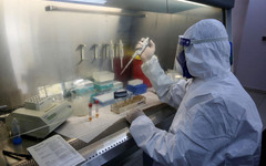 Завезли из Египта: в России медики выявили новый вирус гриппа