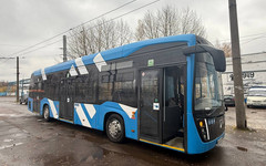 Троллейбусы возвращаются: в Кирове растет спрос на электротранспорт