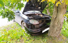 В Котельниче водитель автомобиля врезался в дерево