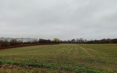 В Кировской области откроют производство овощей в вакуумной упаковке