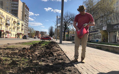 В Кирове активист высадил картофельную грядку у Дворца бракосочетания в знак протеста против некачественных газонов