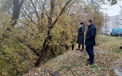 В овраге на Филейке нашли мусор и норы грызунов