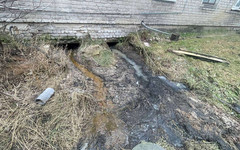 Жители Даровского семь лет живут с канализационными стоками во дворе
