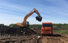 В Вахрушах на месте свалки появится зелёная зона