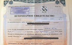 В Яранске начальницу ветстанции оштрафовали за присвоение и подлог