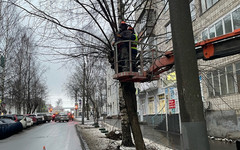 В центре Кирова обрезают деревья