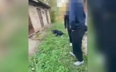 Прокуратура выявила нарушения в школах после избиения подростка в Кирове