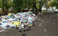 Кировские управляющие компании заставят каждый день отчитываться о вывозе мусора