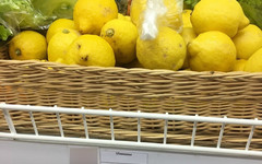«Понаслушались, что это панацея»: в Кирове резко выросла стоимость на имбирь и лимоны