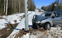 В Кировской области ЗАЗ влетел в столб
