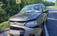 В Орловском районе «Лада Калина» съехала в кювет