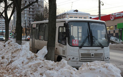 Кировчане могут вернуть автобусы № 44 на привычные маршруты