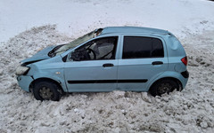 В Яранском районе Hyundai Getz сбил лося