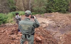 В Кировской области возбудили дело из-за мора рыбы