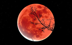 Кировчане 5 мая смогут наблюдать полутеневое лунное затмение