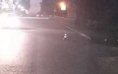 В Пасегово в ДТП попали несовершеннолетние мотоциклисты