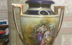 Трофейная ваза за 1,4 миллиона и шиповник за 500 рублей: что кировчане продают на сайтах объявлений