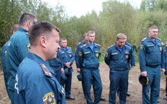 Погибших в Малой Субботихе пожарных наградят посмертно
