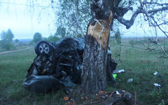 В Советском районе водитель «Лады» насмерть разбился об дерево