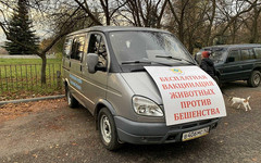 В Кировской области провели 30 млн вакцинаций домашних животных