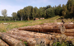 Два кировчанина попались на мошенничестве с лесом на 8,5 млн рублей