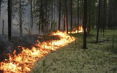 В Кировской области произошёл первый природный пожар