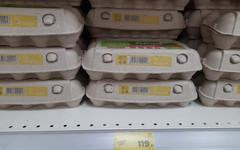 Глава ФАС отметил, что в России наметилась тенденция на снижение цен на яйца