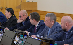 Кировские депутаты предложили усилить поддержку малого и среднего бизнеса