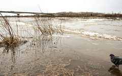 Уровень воды в Вятке поднялся до 87 см