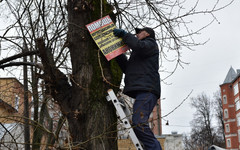 Городские чиновники объявили войну незаконным объявлениям