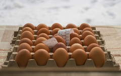 «Зуевскую птицефабрику» снова продают: цена снижена на 32 млн рублей