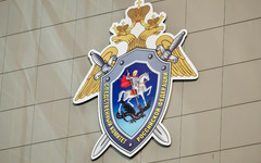Кировский подросток осуждён за стрельбу из сигнального устройства