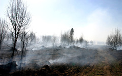 Кировская область готова к пожароопасному периоду