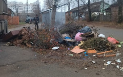 «Поражает факт бескультурного поведения»: в Нововятском районе вывезли более 100 кубометров мусора