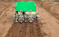 Кировчанин создал робота для посадки картофеля