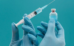 В России начнут клинические испытания отечественной вакцины от аллергии на кошек